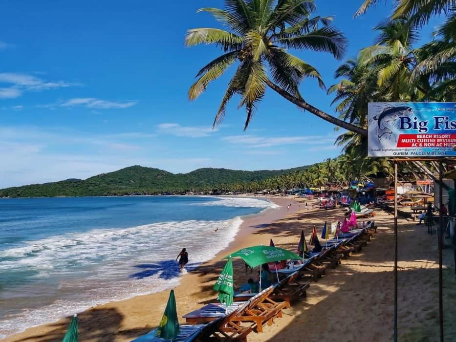 Big Fish Hotel Canacona Ngoại thất bức ảnh